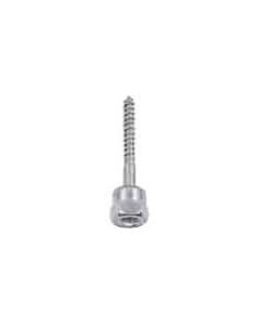 SIOUX 590-4411 SAMMY SCREWWS 3/8 X 2" FOR WOOD VERTICAL GST20 25/BX
